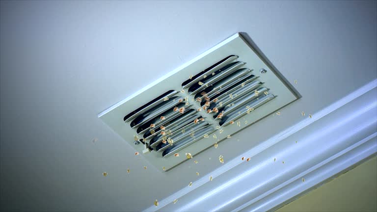 Best Professional Duct Cleaning Services  in Trappe, MD