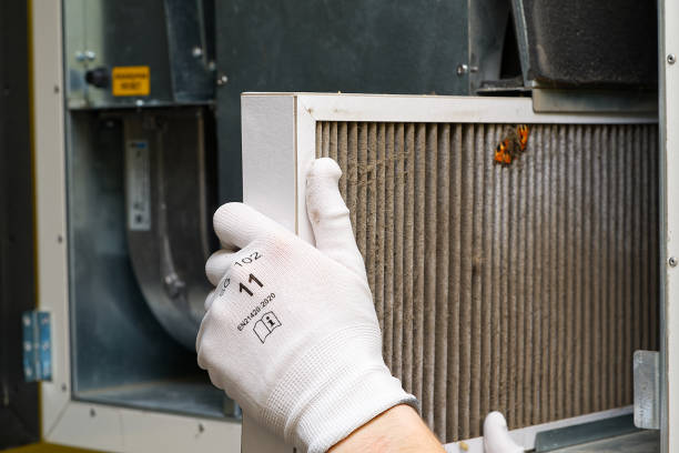 Best Air Duct Mold Removal  in Trappe, MD