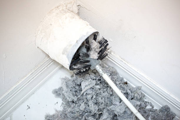 Best Affordable HVAC Duct Cleaning  in Trappe, MD